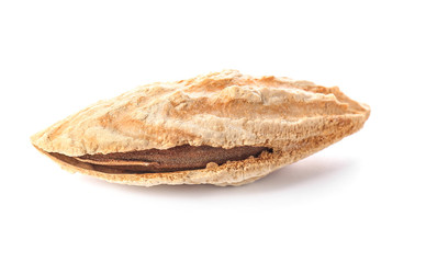 Unpeeled almond nut on white background