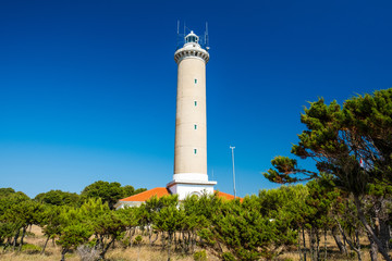 Fototapeta na wymiar Croatia, island of Dugi Otok, beautiful old lighthouse of Veli Rat on the stone shore among the pines