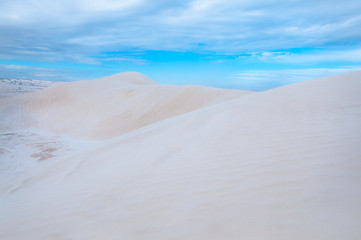 lancelin Dunes Natural Preserve, western Australia