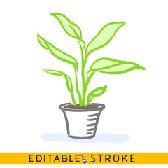 Houseplant in pot. Line doodle sketch. Editable stroke icon.