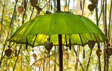 Grüner geöffneter Schirm mit Herzen