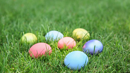Colorful Easter eggs on grass outdoors