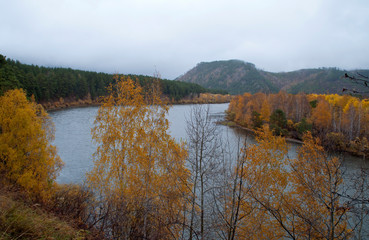 Fototapeta na wymiar Barguzin Valley Russia, autumn leaves in trees along riverbank on an overcast day