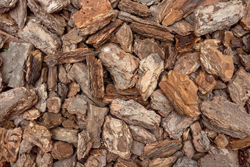 Closeup the wooden chips or scraps wood or surface of pieces of wood bark terracotta as textured and background