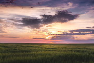 Sunset with dark clouds over a field with grass _