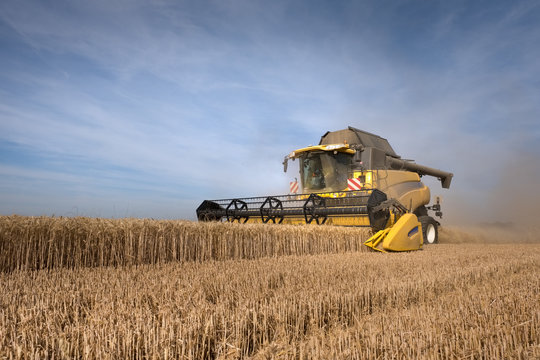 Moisson bl&eacute; moissonneuse moissonneuse batteuse agriculteur agriculture c&eacute;r&eacute;ale campagne champ couper ferme c&eacute;r&eacute;alier jaune gluten