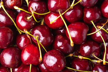 Red ripe berries of a sweet cherry close up. Macro photo of sweet cherry, red berry background