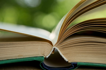 Studying in summer concept. Open book on a wooden table in a garden, sunny summer day