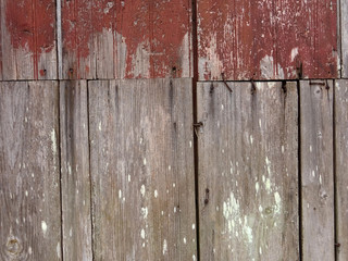 Old wooden textured door pilled paint detail for background  