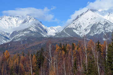 Obraz premium Snowy peaks at siberian forest deep in Russia