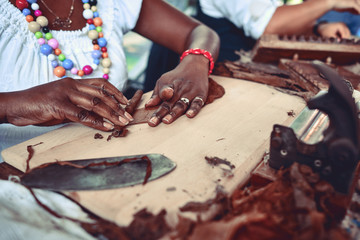 Closeup of woman hands making cigar from tobacco leaves. Traditional manufacture of cigars..Demonstration of production of handmade cigars. Hands rolling dried and cured tobacco leaves.