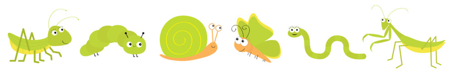 Green insect icon set line. Mantis praying, grasshopper, butterfly, caterpillar, snail, worm. Cute cartoon kawaii funny character. Smiling face. Flat design. Baby clip art. White background. Isolated. © worldofvector