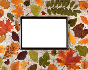 Naklejka na ściany i meble Autumn composition with leaves on a wooden background and photo frame with white empty space