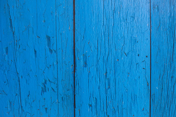 Fototapeta na wymiar Textured natural wooden painted in blue background for design mockups