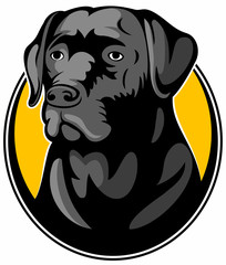 Labrador retriever dog, realistic vector image.