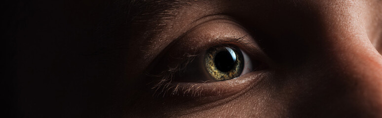 close up view of human green eye looking away in dark, panoramic shot © LIGHTFIELD STUDIOS