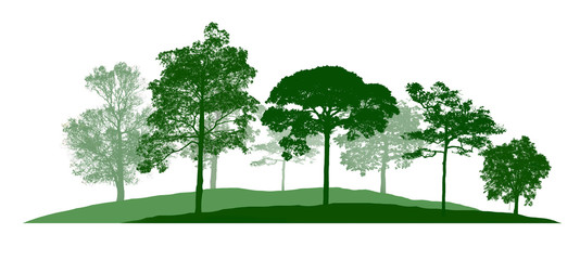 The large green tree shadow is a group that is completely isolated from the white background.