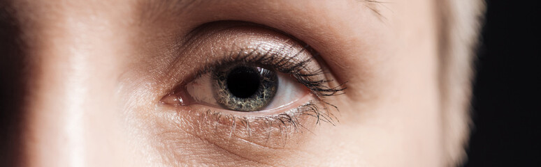 close up view of human grey eye looking at camera, panoramic shot