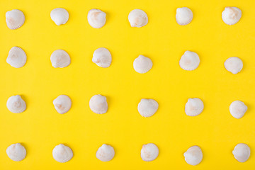Pattern a seashell flat lay on  yellow color background
