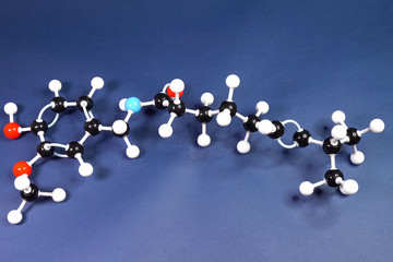 Model of an organic molecule.
