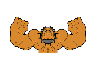 Strong dog. Powerful bulldog. pet bodybuilder. hard beast