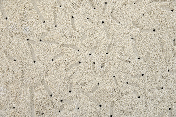 Crab holes and footprints on the beach for the background