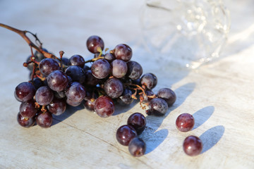 Dark blue grape on white background.Full depth of field