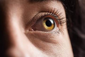 close up view of young woman eye with eyelashes and eyebrow looking away