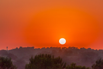 Sunset in Andalusia, Spain. The sky is clear  smooth deep orange colour. The top of a hill with trees  can be seen on the horizon.
