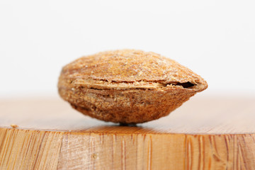 Salted Roasted Almond in Shell