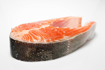 fresh salmon on white background