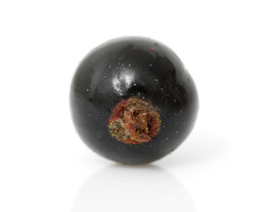 black currant isolated on white background