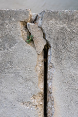 Fissure dans le mur, effondrement, mur cassé