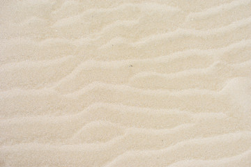 Fototapeta na wymiar The texture of the sandy beach.