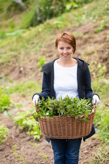 woman gardening