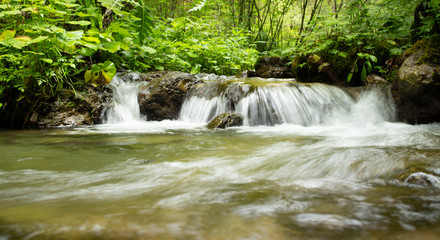 Obraz premium clear water and waterfulls in a little river in the forest