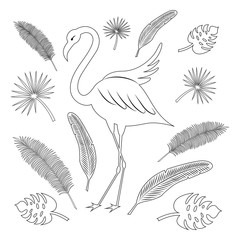 Flamingo and tropical leaves: coconut palm, palm fan, banana texture. Black outline. Summer set. Stylized vector illustration. Image for your decor and design on a white background.