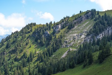Beautiful swiss alps mountains. Alpine meadows.