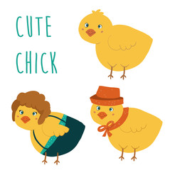 Cute cartoon chick bird set vector illustration