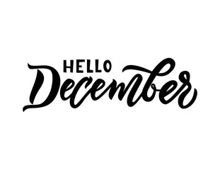 Fototapeta na wymiar Hello december lettering. Isolated inspiration quote on white background.