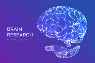 Brain. Human brain research. 3D Science and Technology concept. Neural network. IQ testing, artificial intelligence virtual emulation science technology. Brainstorm think idea. Vector illustration.