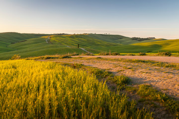 Tuscany countryside. near Pienza, during springtime. Pienza, Tuscany, Italy
