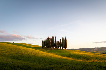 Tuscany countryside. near Pienza, during springtime. Pienza, Tuscany, Italy