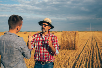 senior farmer with his young colleague on wheat field