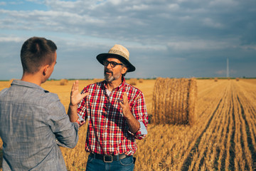 Naklejka na ściany i meble senior farmer with his young colleague on wheat field
