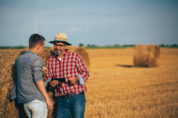 senior worker with his young colleague on wheat field