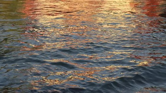 Golden sunlight reflection of a house on the river water surface, creating beautiful ripples, texture and rhythmical patterns. Some shark catfish swim in the water.