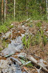 environmental crisis. garbage on the nature of the forest. plastic trash in the forest. environmental Protection. ecology of nature.