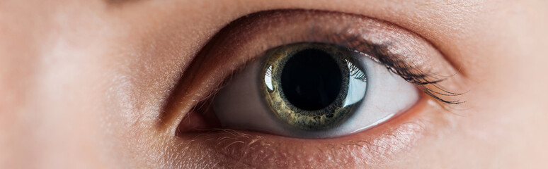 close up view of woman clear eye looking at camera, panoramic shot - obrazy, fototapety, plakaty