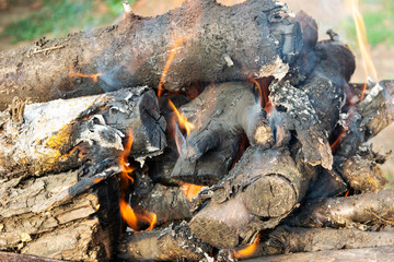 firewood burning on a brazier brazier, fire, coals, background
